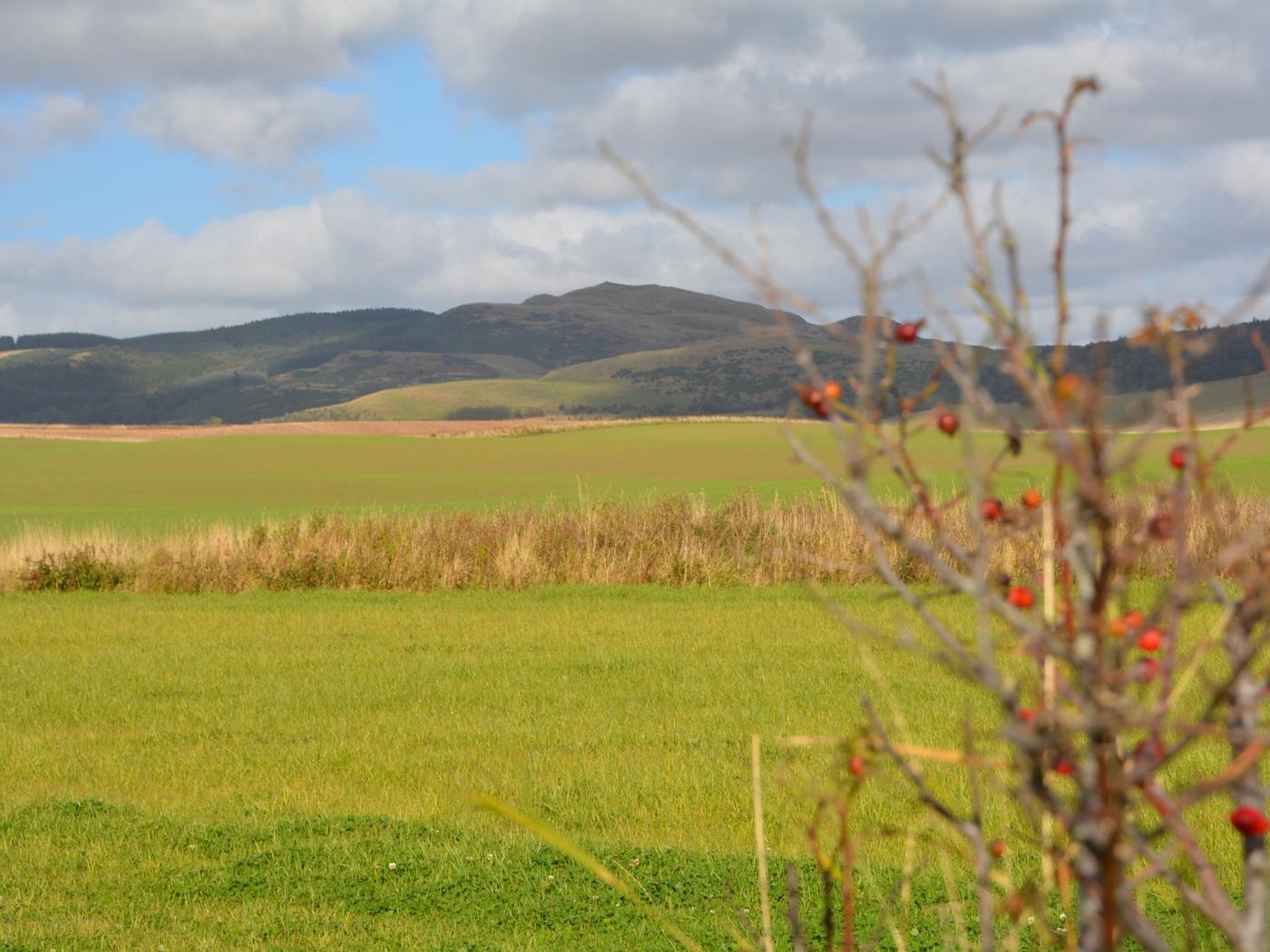 Property image 18 for HC45667