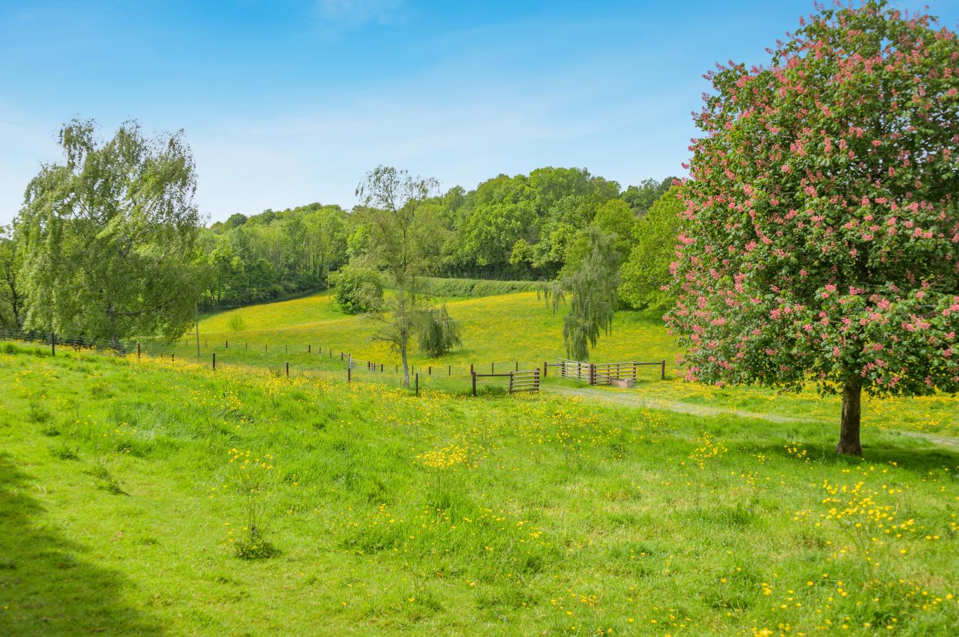 Property image 25 for HC292789