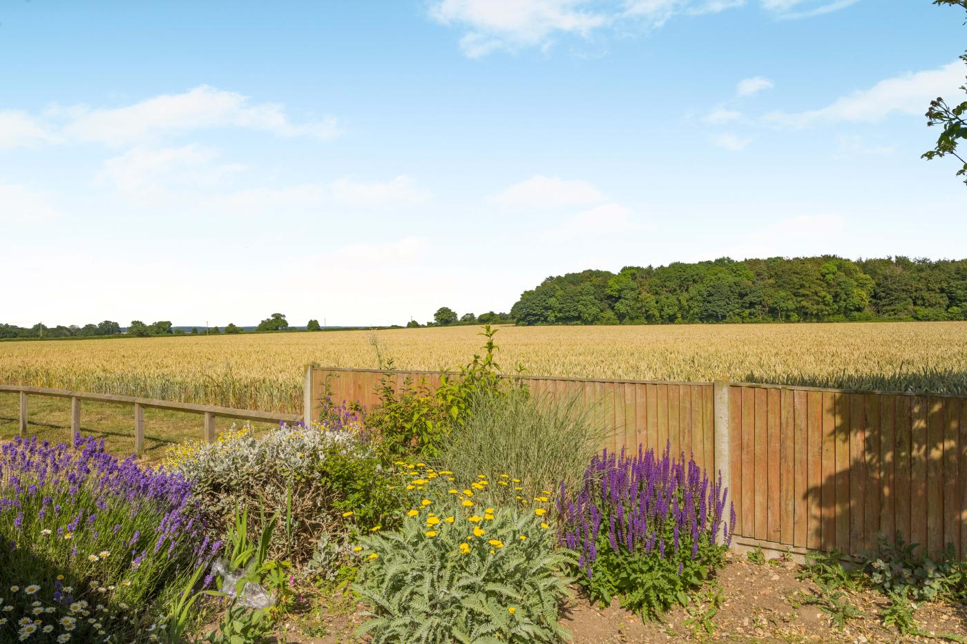 Property image 23 for HC294878