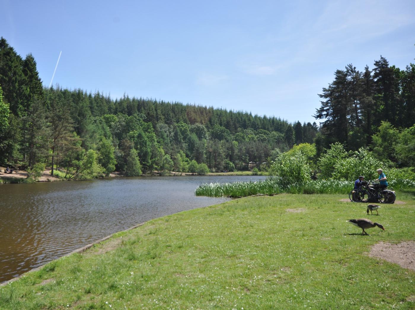 Property image 21 for HC83665