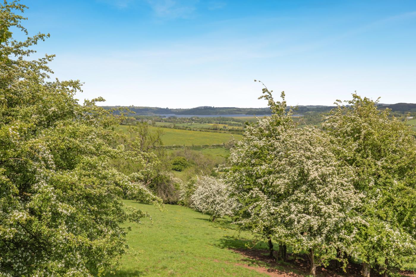 Property image 5 for HC284765
