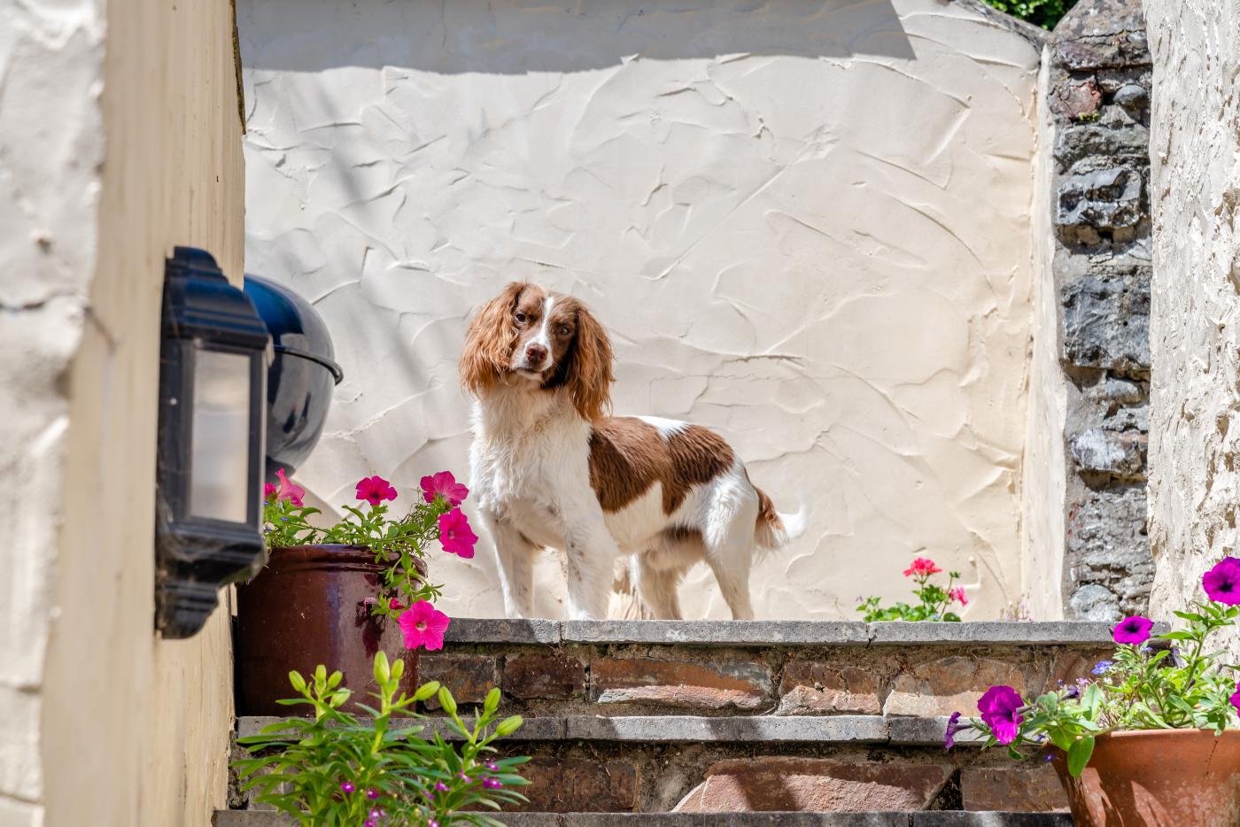 Property image 21 for HC295327