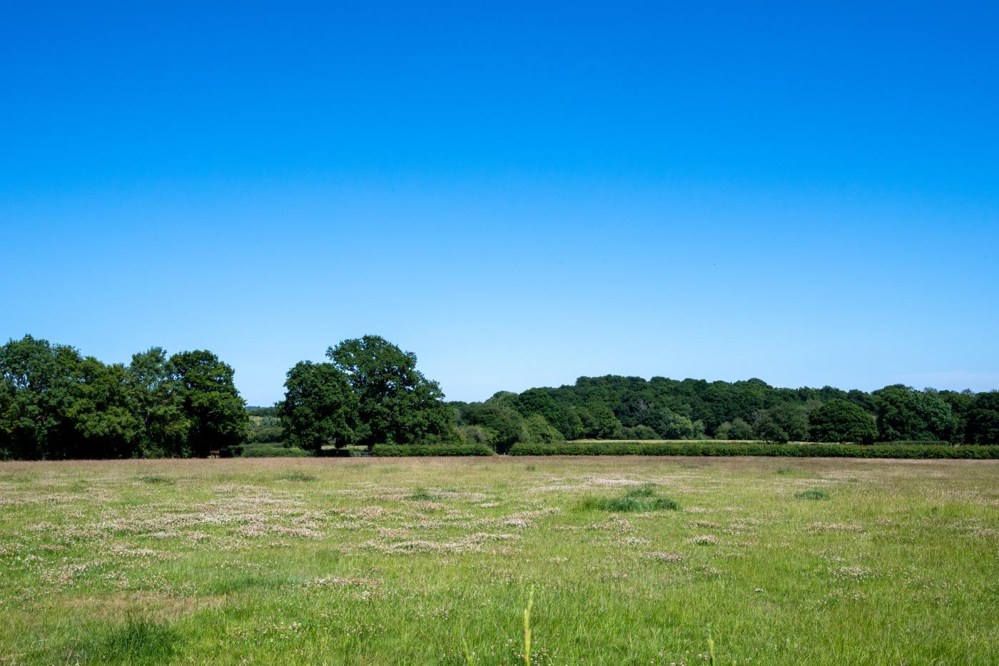 Property image 14 for HC270663