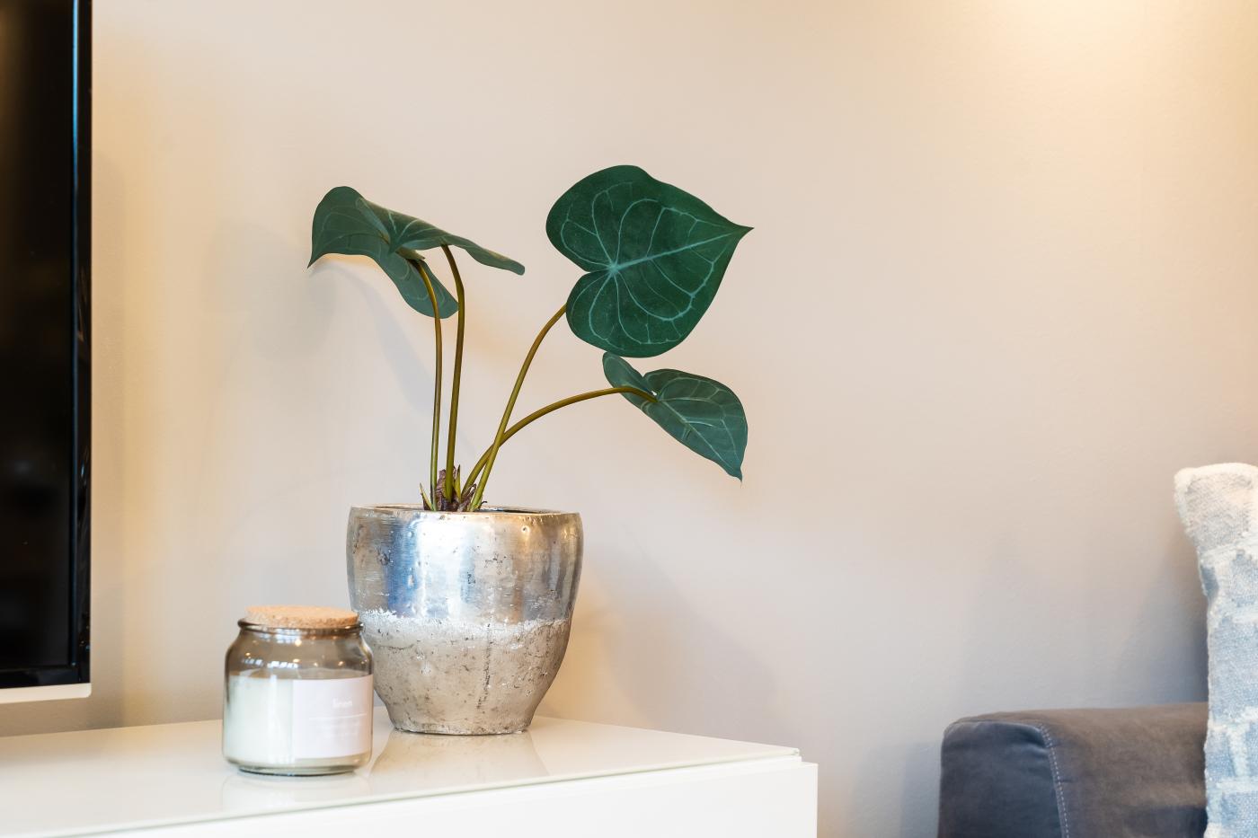 Property image 9 for HC295073
