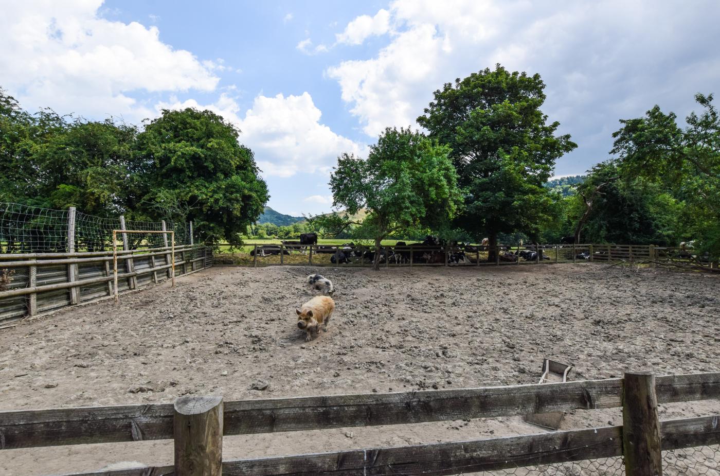 Property image 18 for HC264193