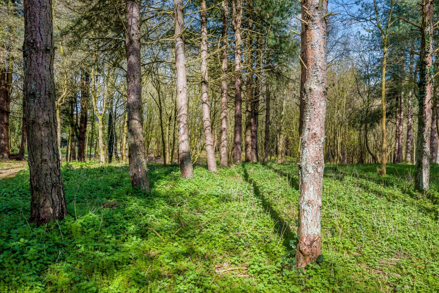 Property image 14 for HC289015