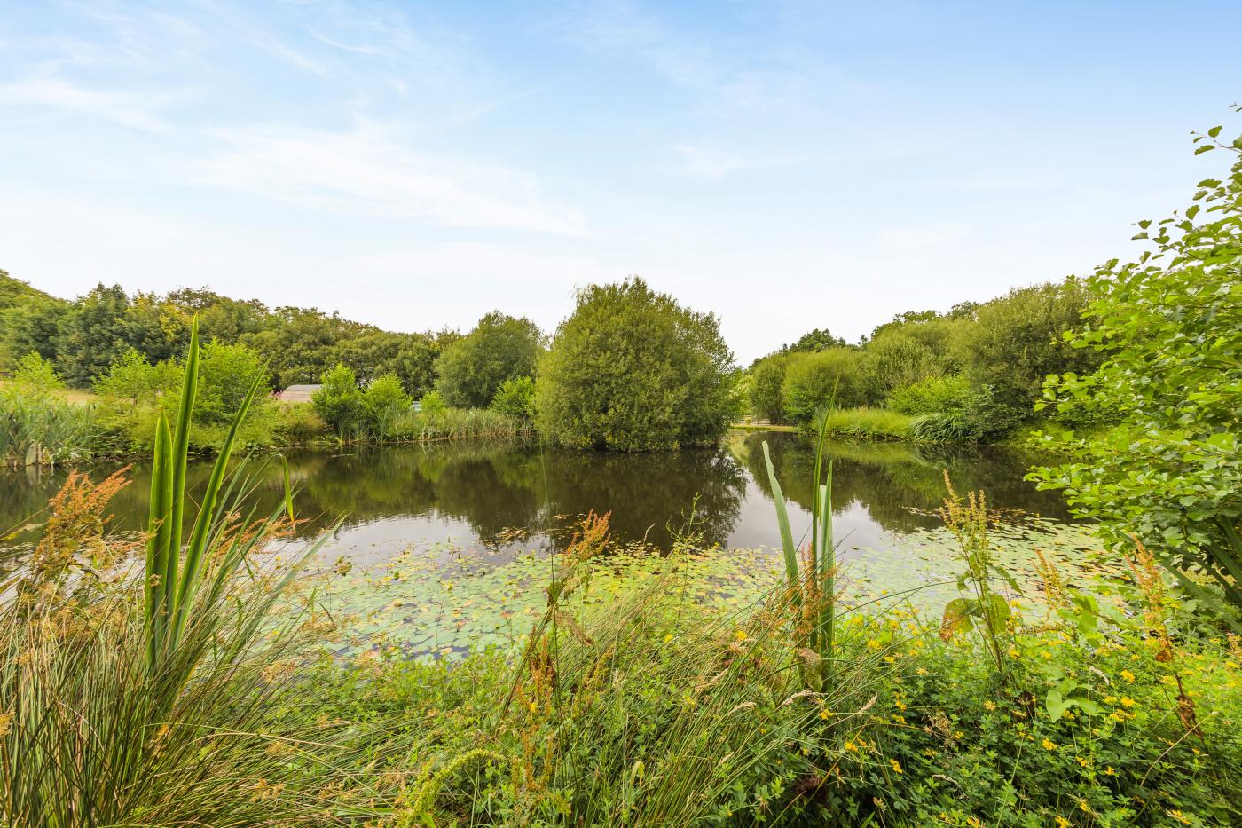 Property image 22 for HC78189
