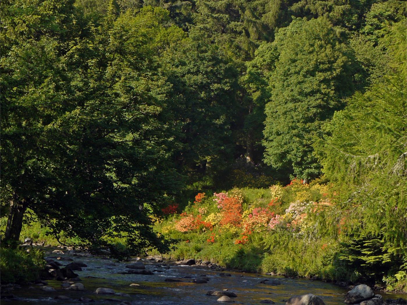 Property image 14 for HC76184