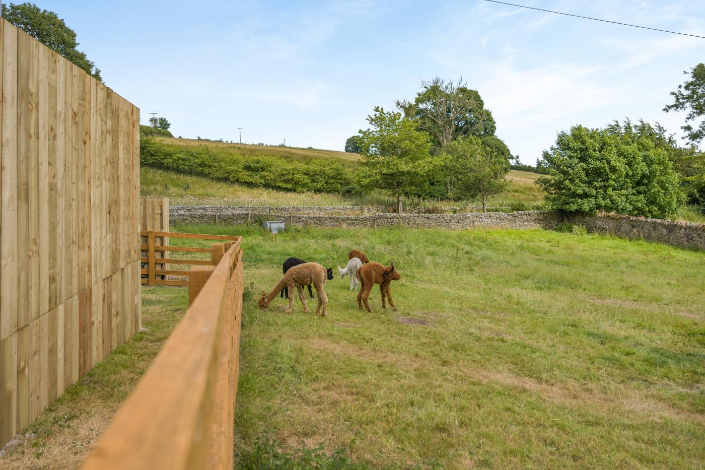Property image 26 for HC295731