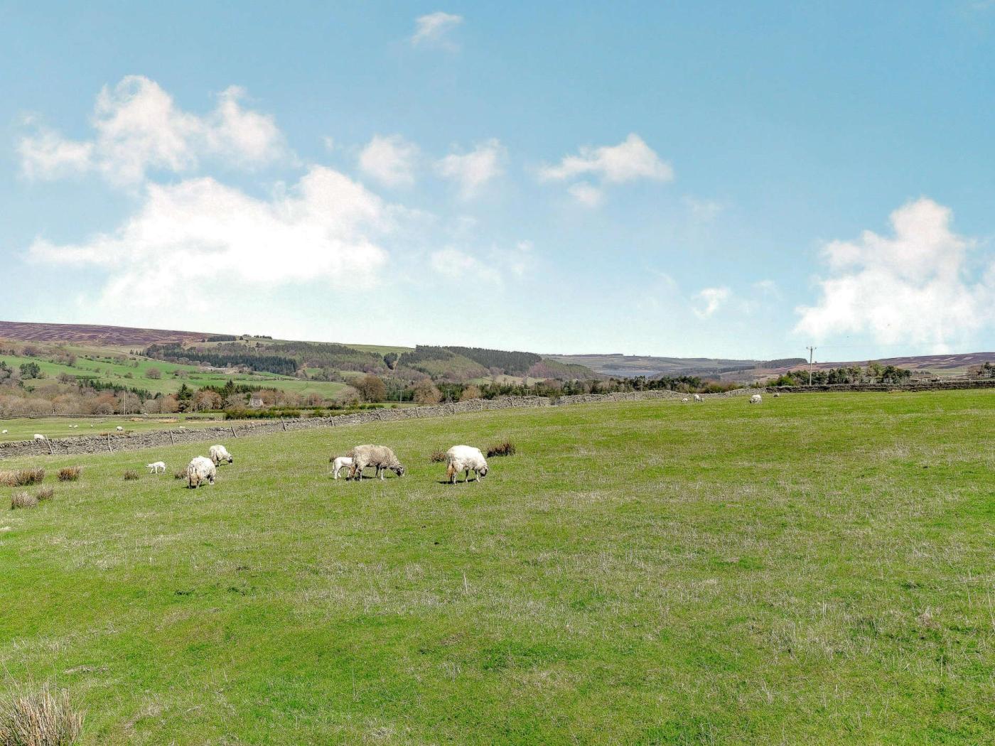 Property image 18 for HC59116