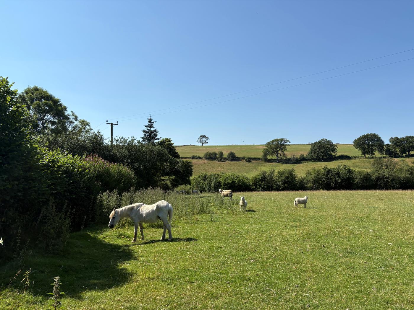 Property image 29 for HC269457