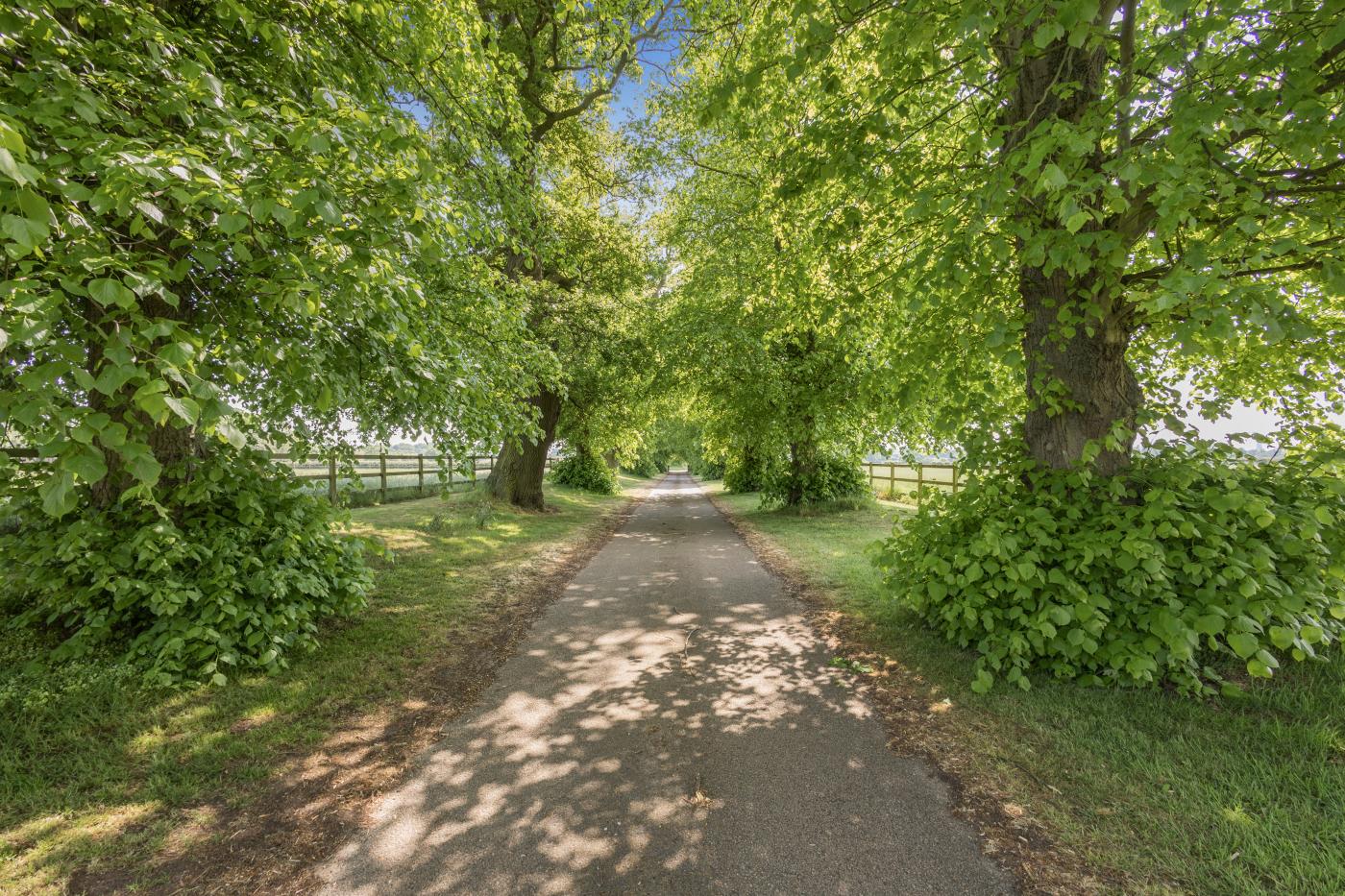 Property image 30 for HC274559