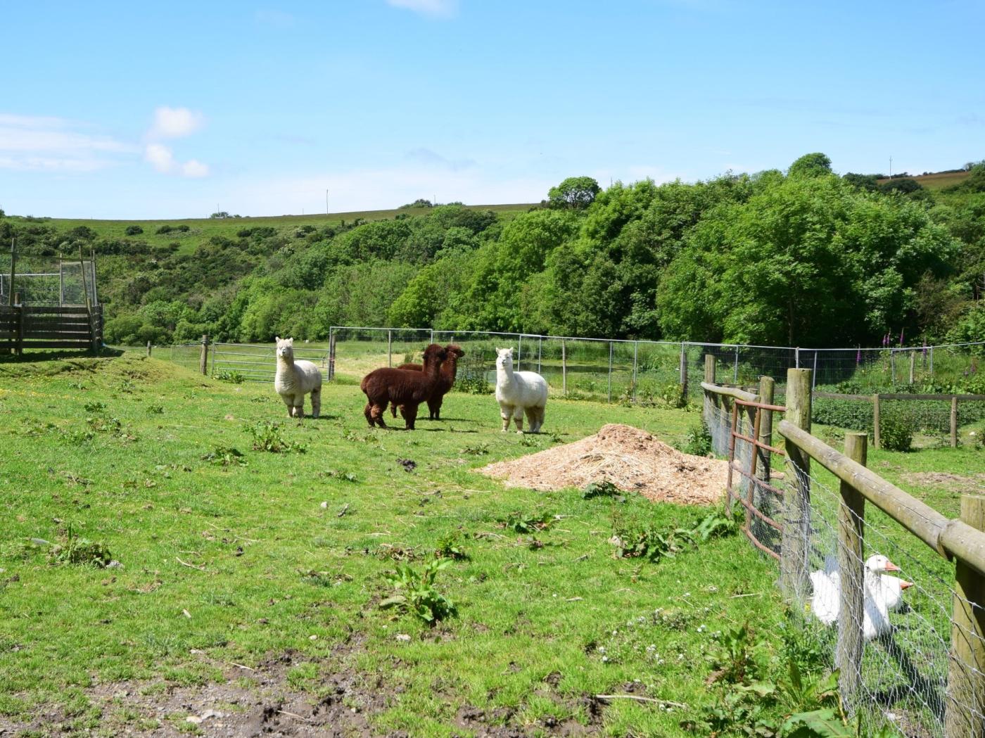 Property image 22 for HC522