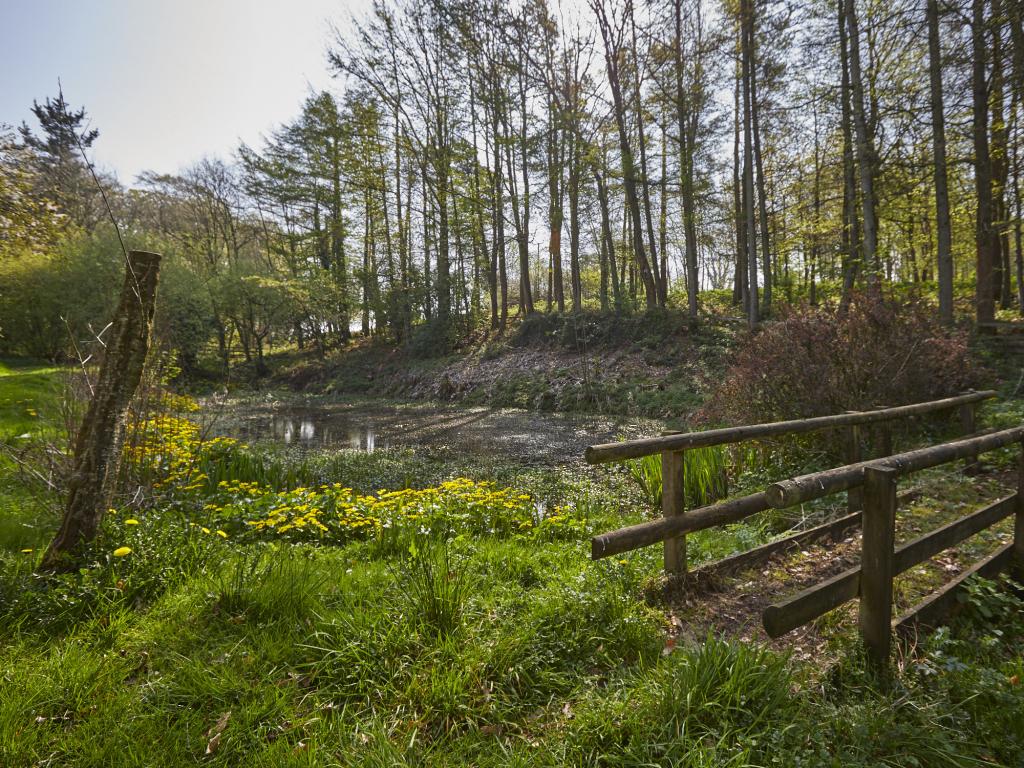 Property image 12 for HC84222