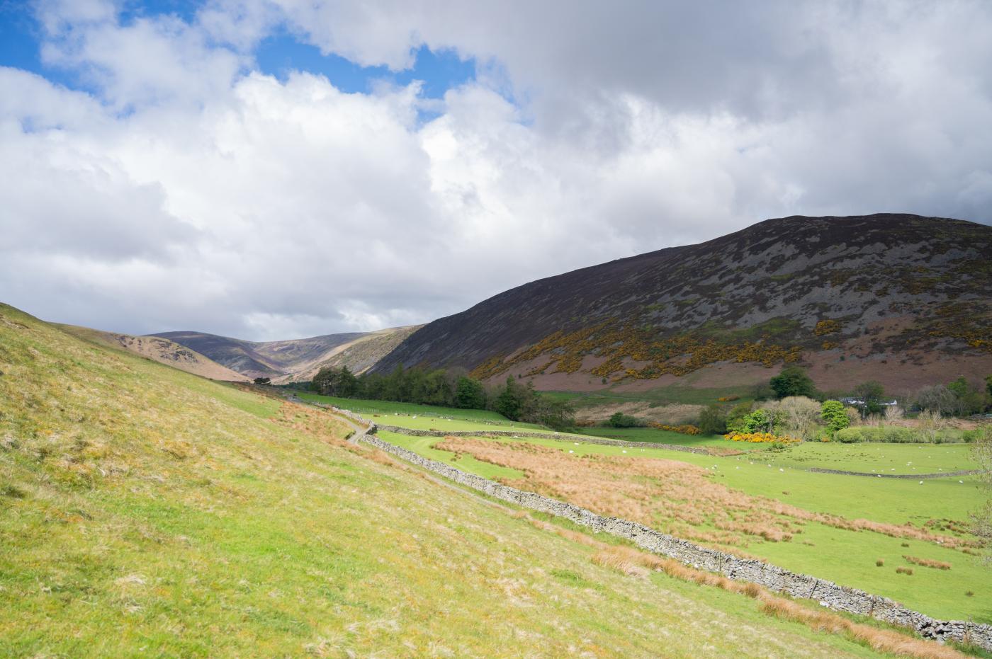 Property image 24 for HC287510