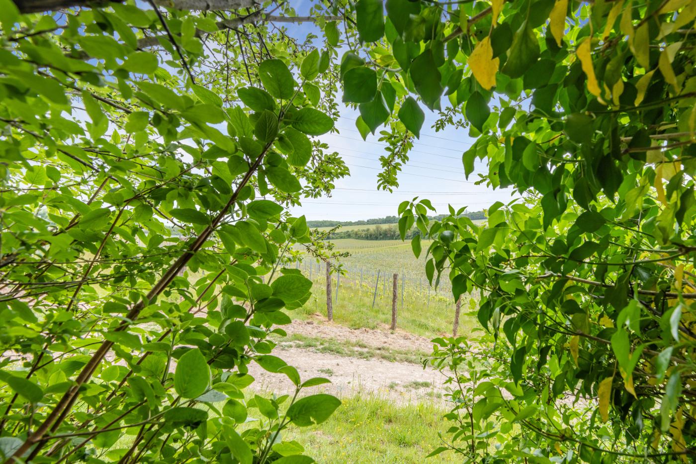 Property image 6 for HC282118