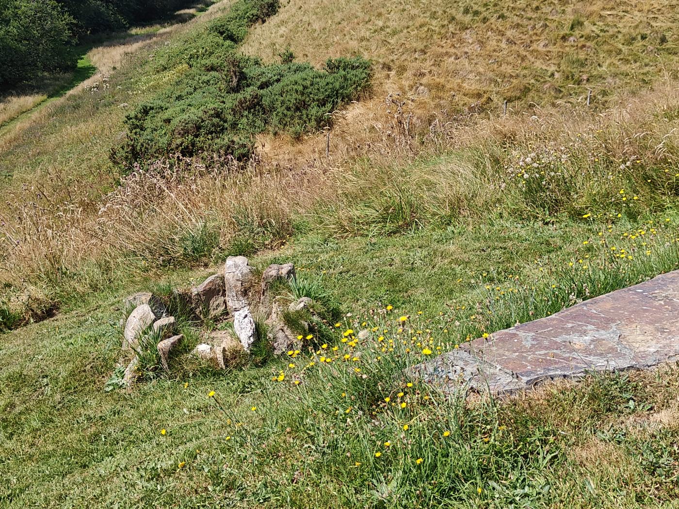 Property image 16 for HC295775