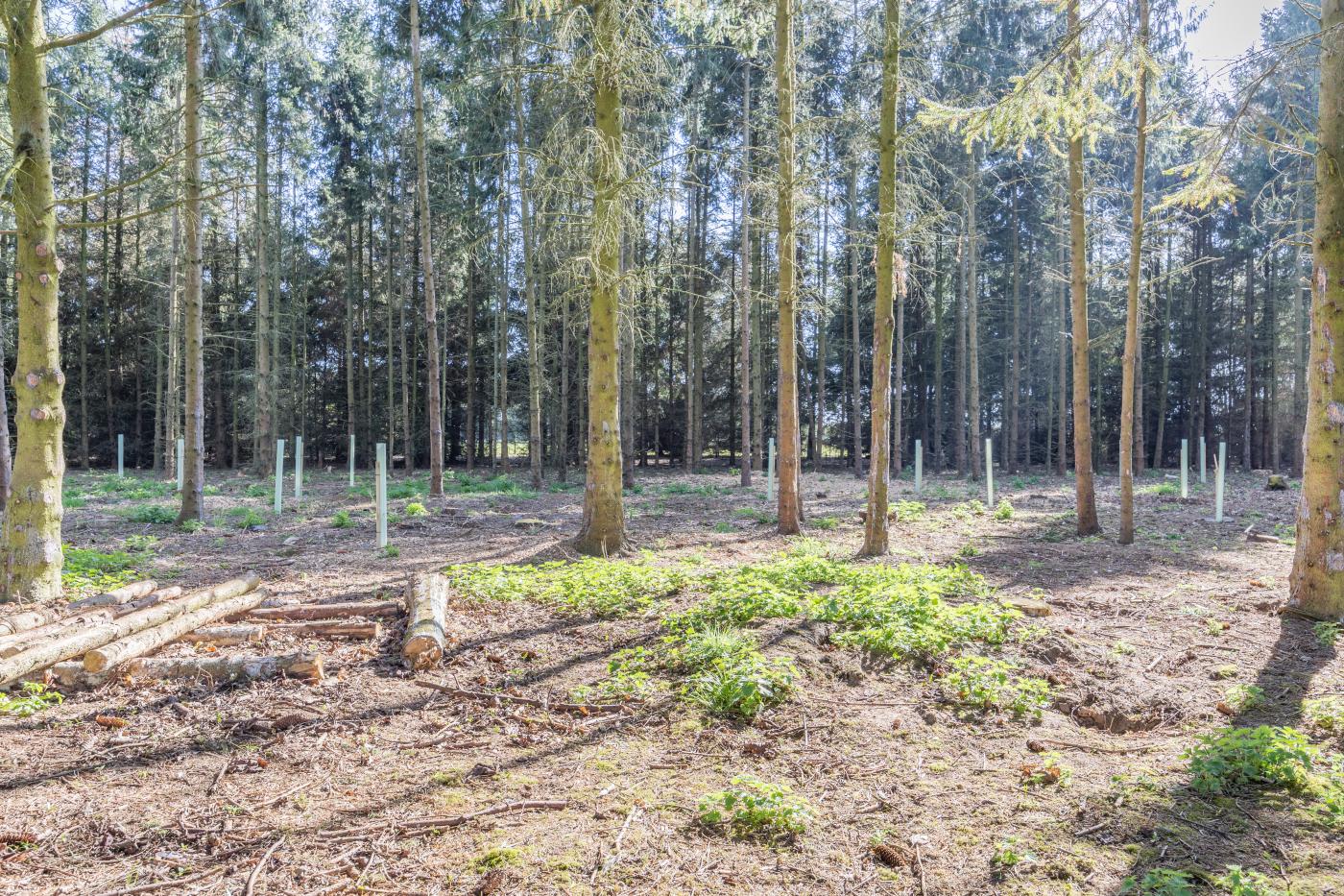 Property image 22 for HC281761