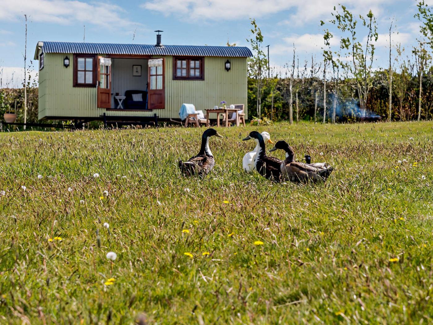 Property image 6 for HC77361