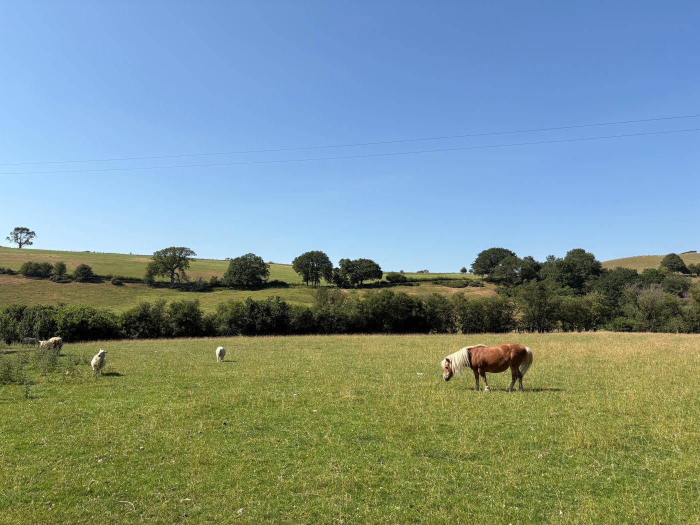 Property image 30 for HC269457