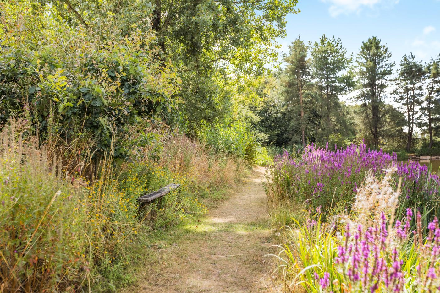 Property image 30 for HC59636