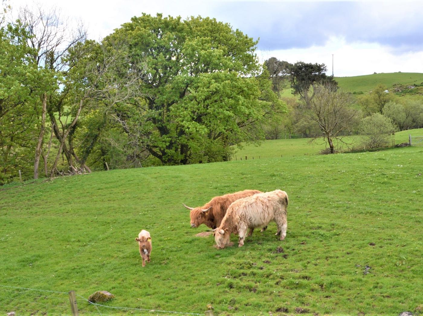 Property image 21 for HC55854