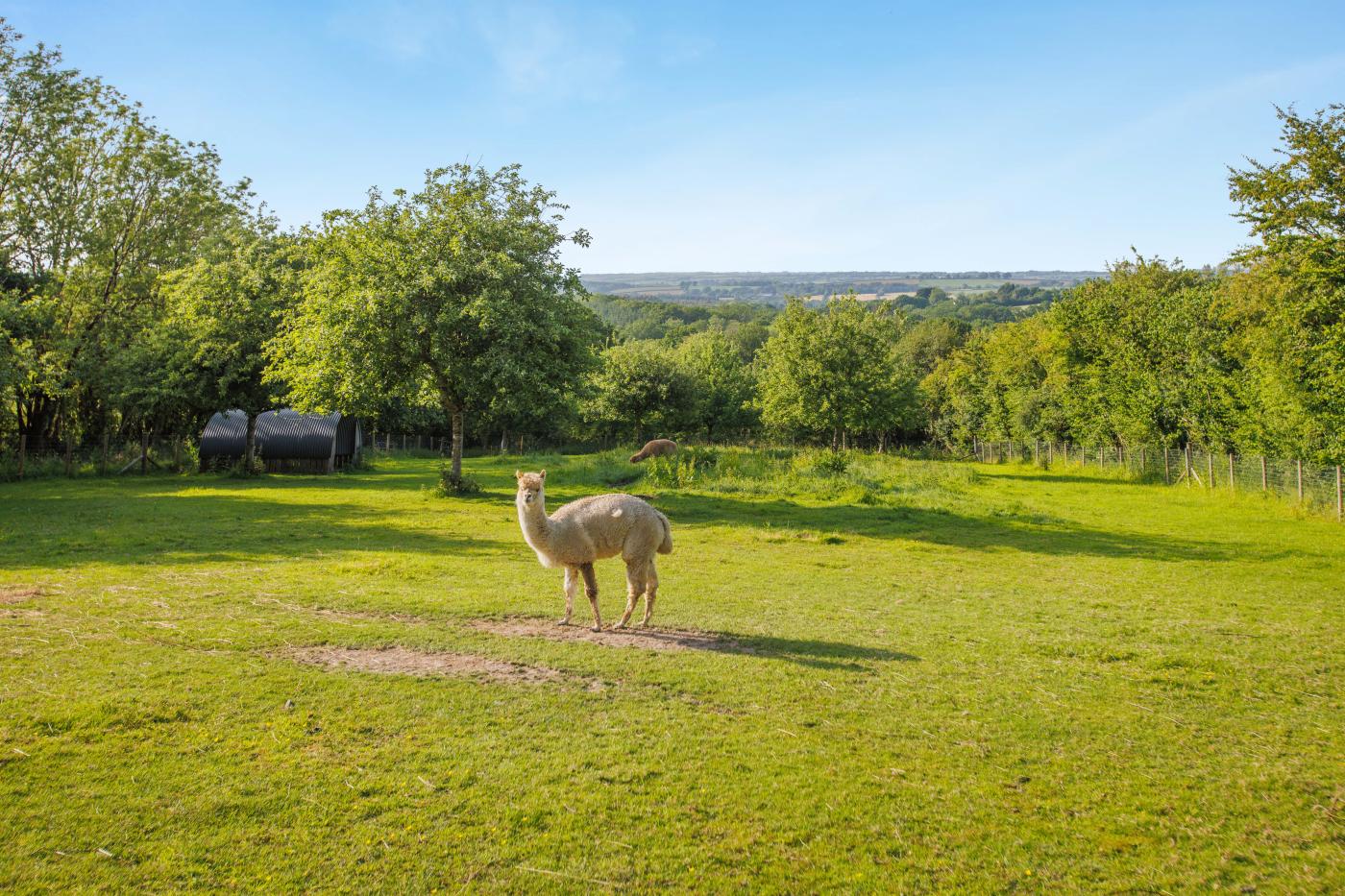 Property image 29 for HC284984