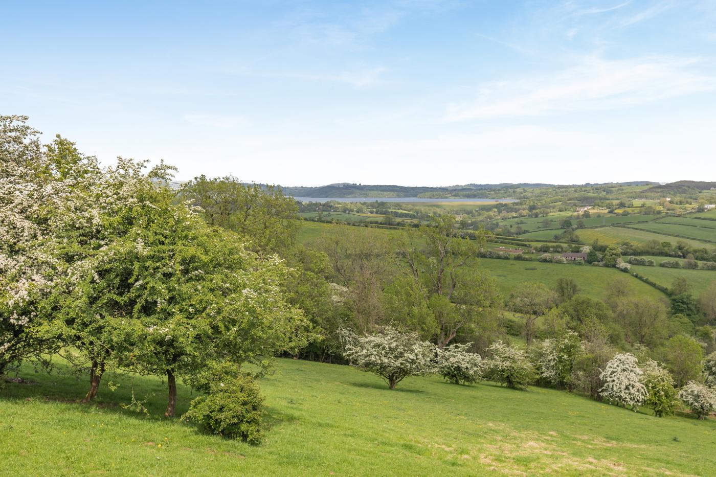 Property image 18 for HC284763