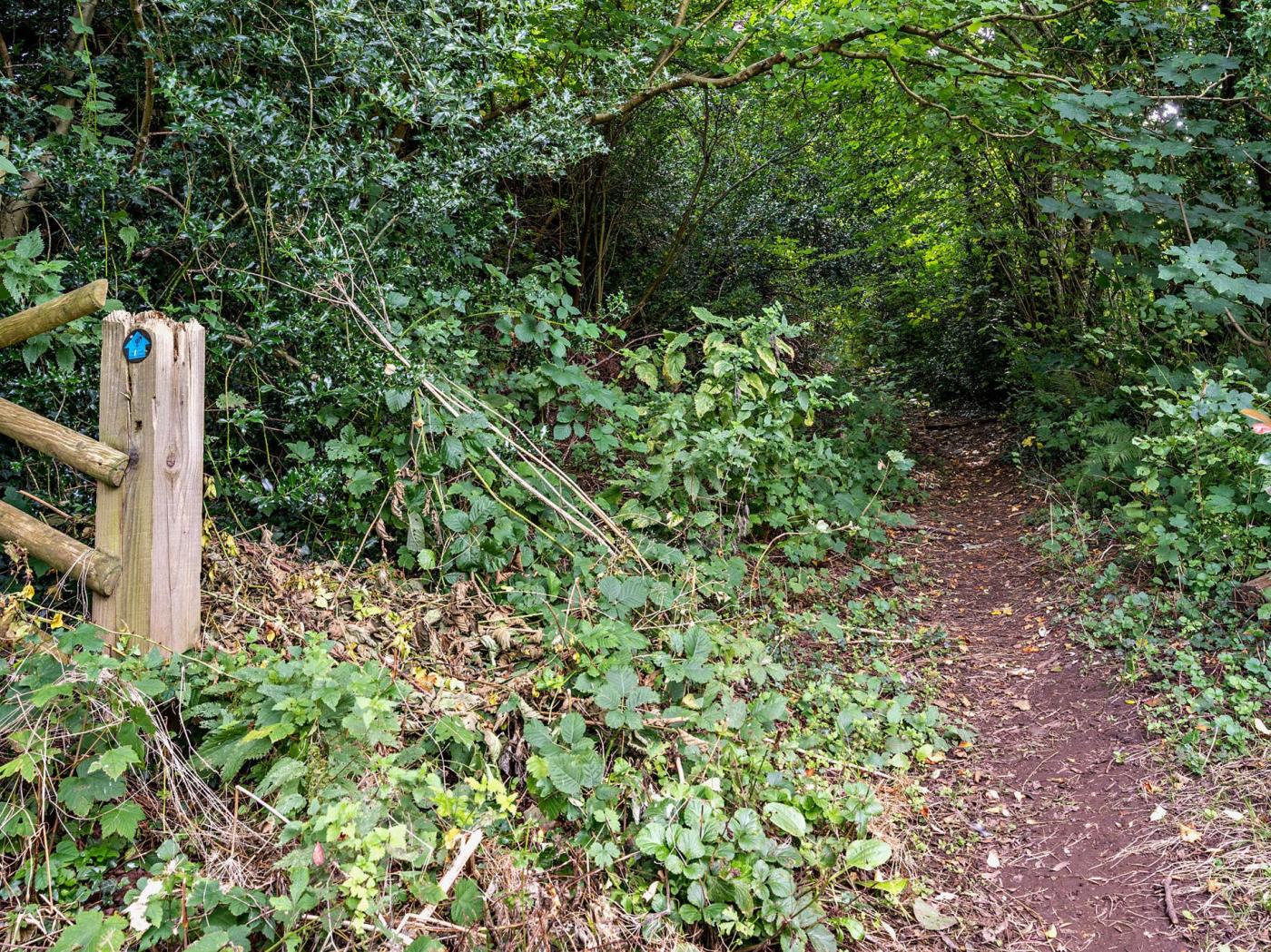 Property image 23 for HC79818
