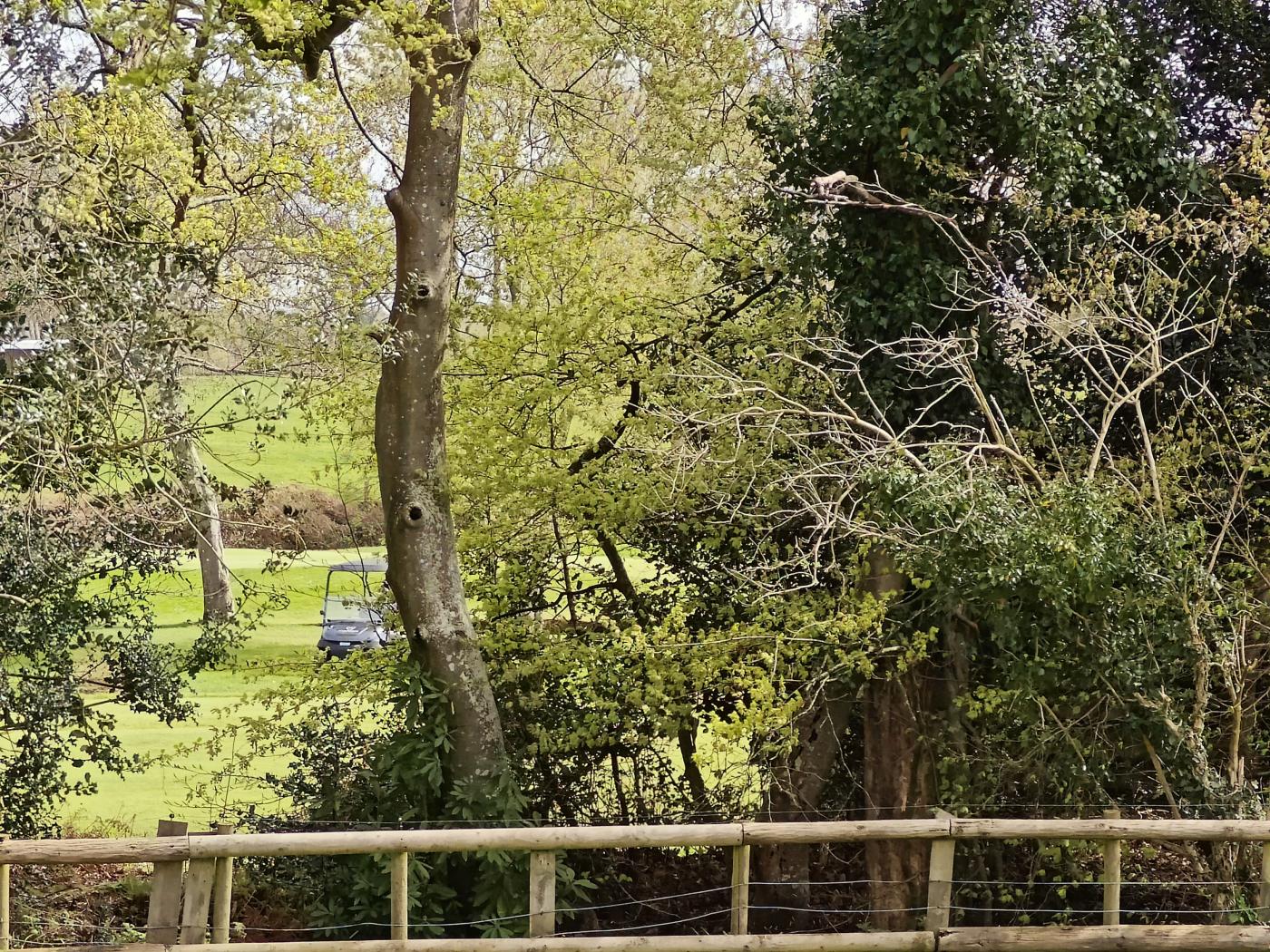 Property image 20 for HC290680