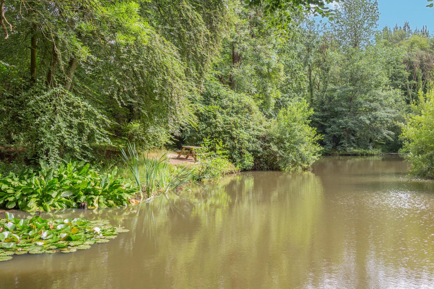 Property image 15 for HC294931