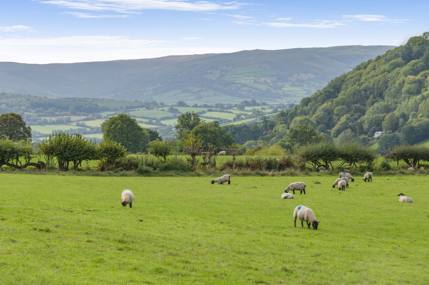 Property image 25 for HC7557