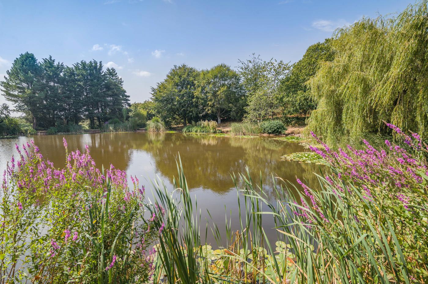 Property image 10 for HC59635