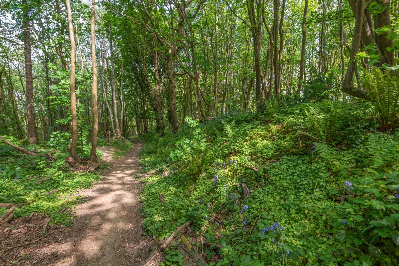 Property image 25 for HC291754