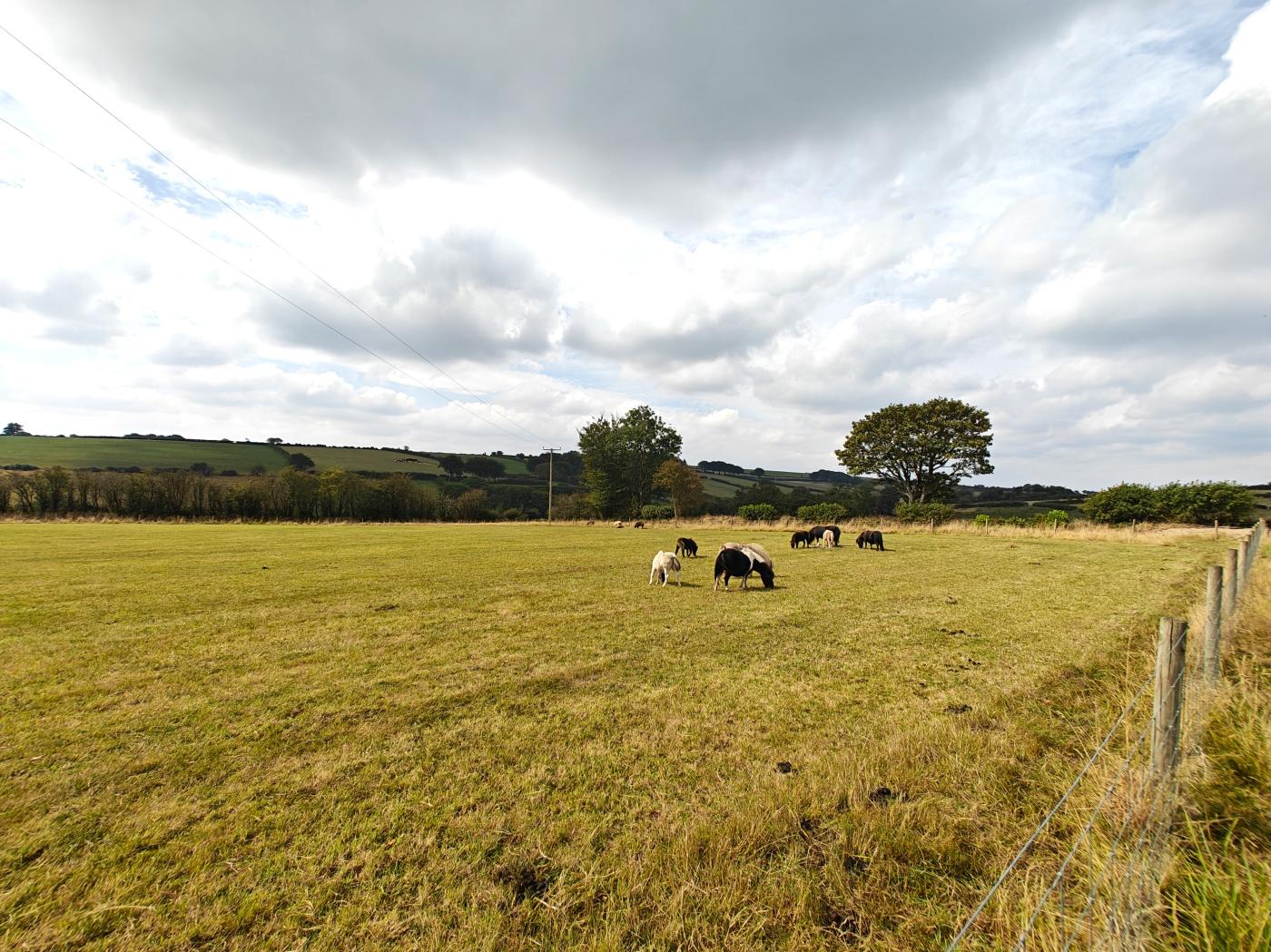 Property image 9 for HC296319