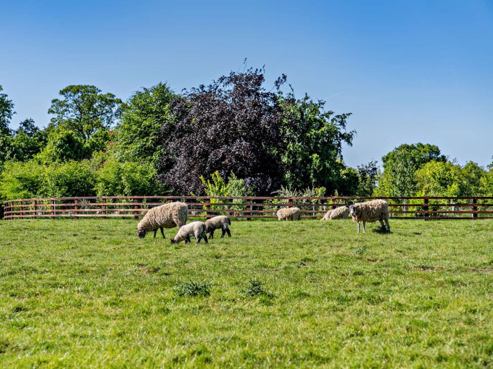 Holiday cottage in Ripon, Yorkshire