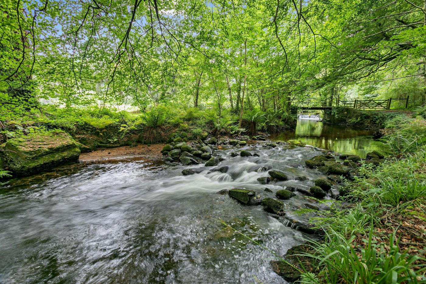 Property image 22 for HC279857