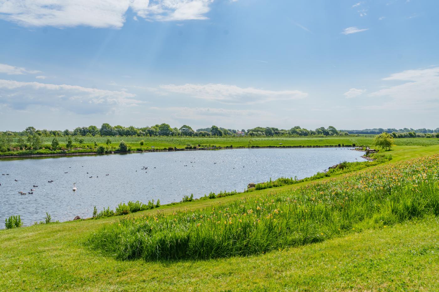 Property image 6 for HC282015