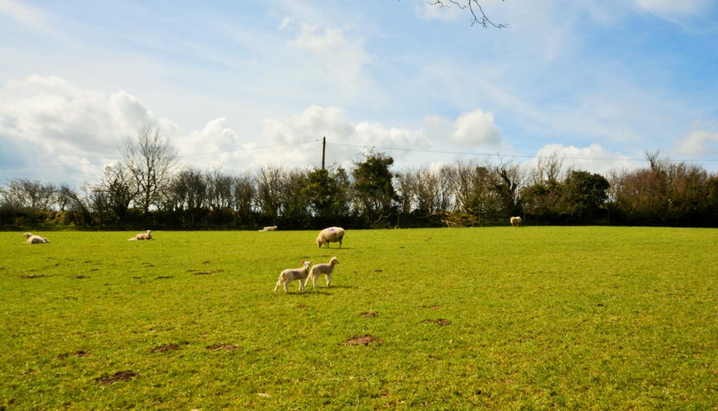 Property image 24 for HC93740
