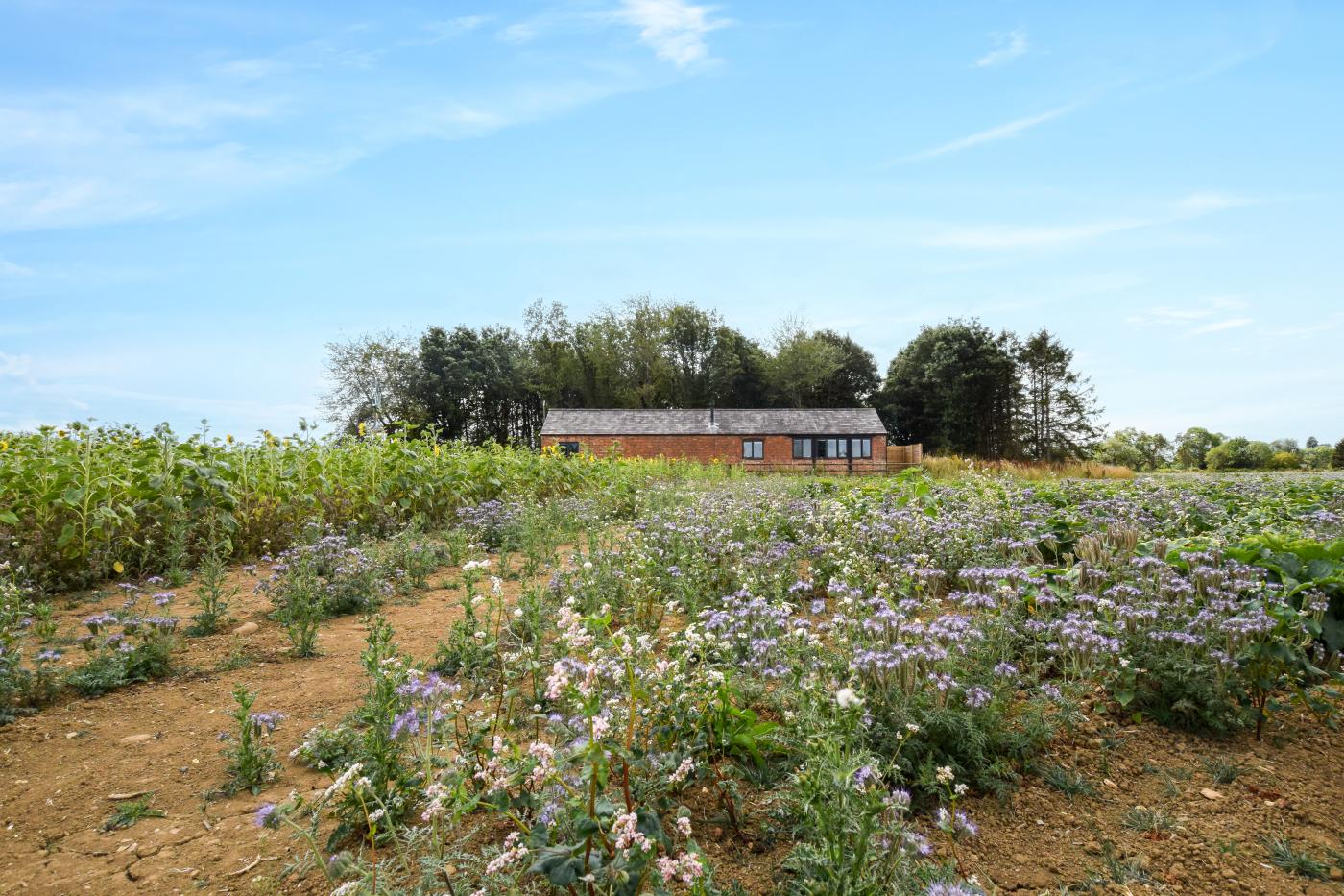 Property image 22 for HC284219