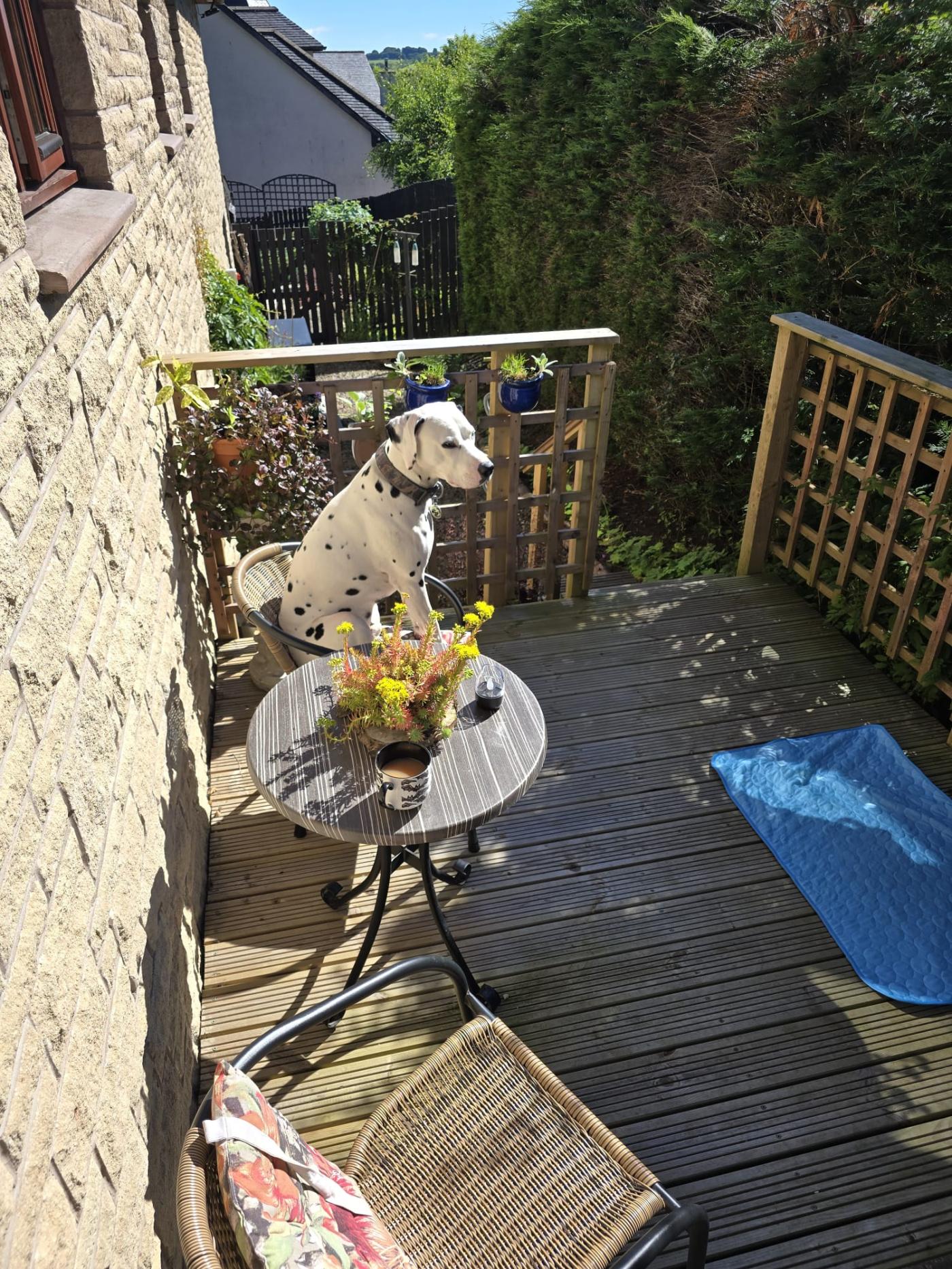 Property image 12 for HC95872