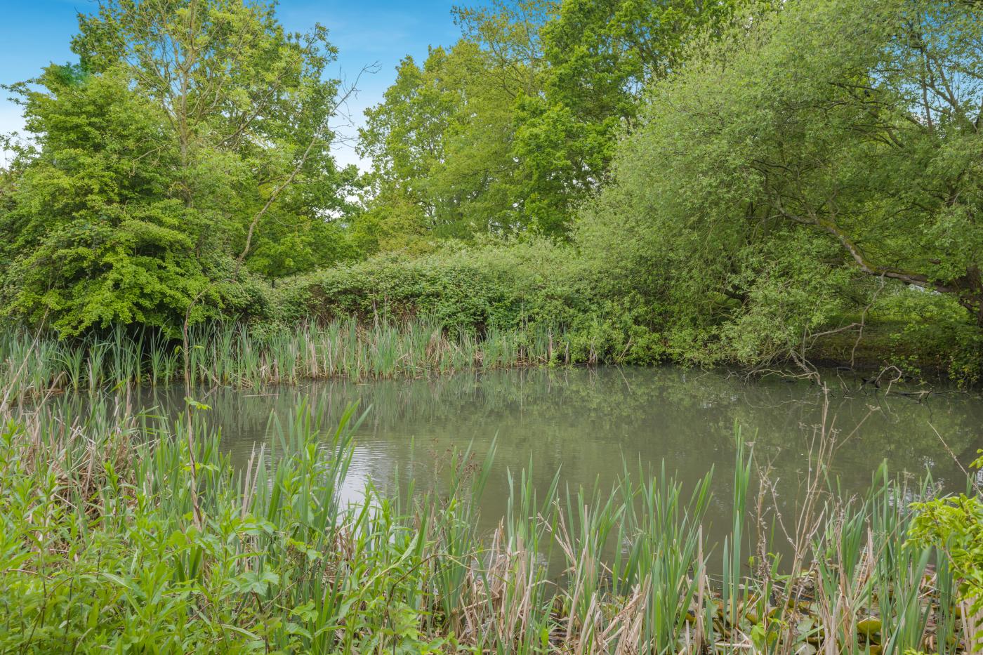 Property image 4 for HC26254