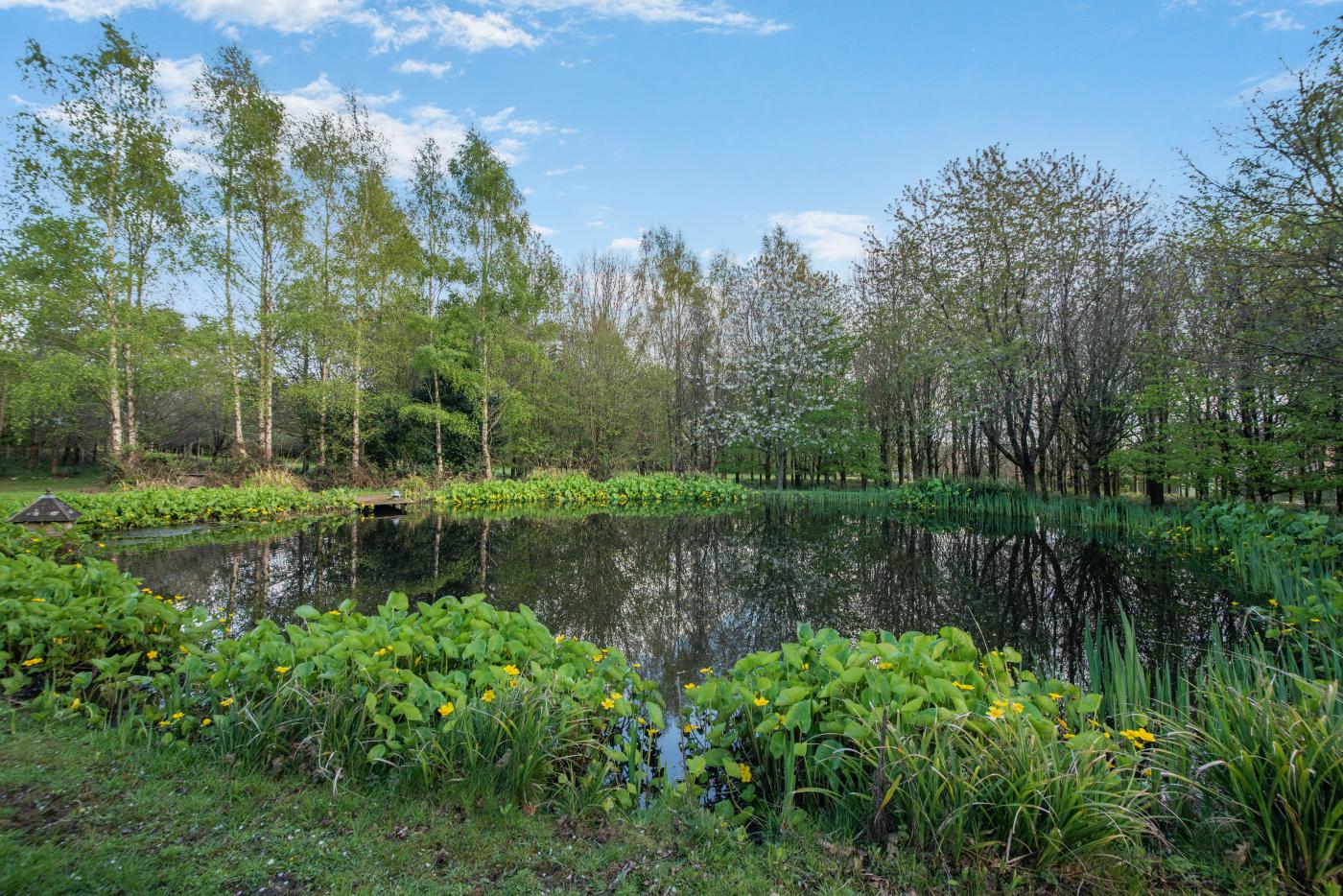 Property image 2 for HC291361