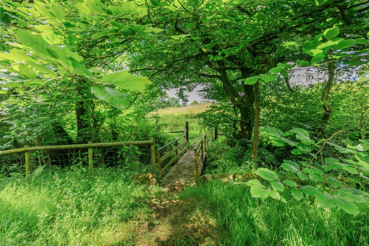Property image 21 for HC279519
