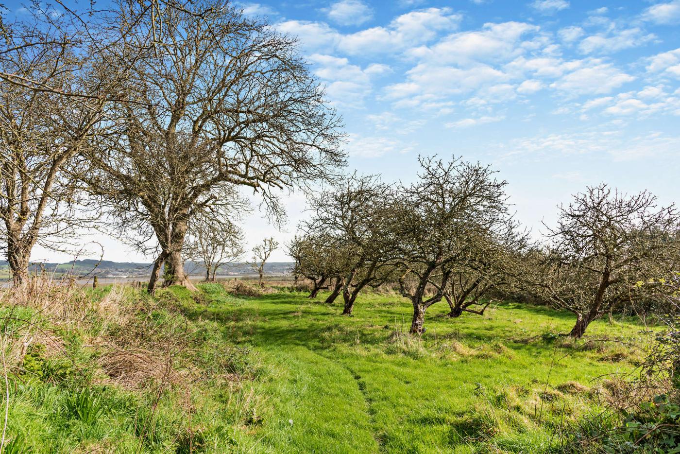 Property image 25 for HC278143