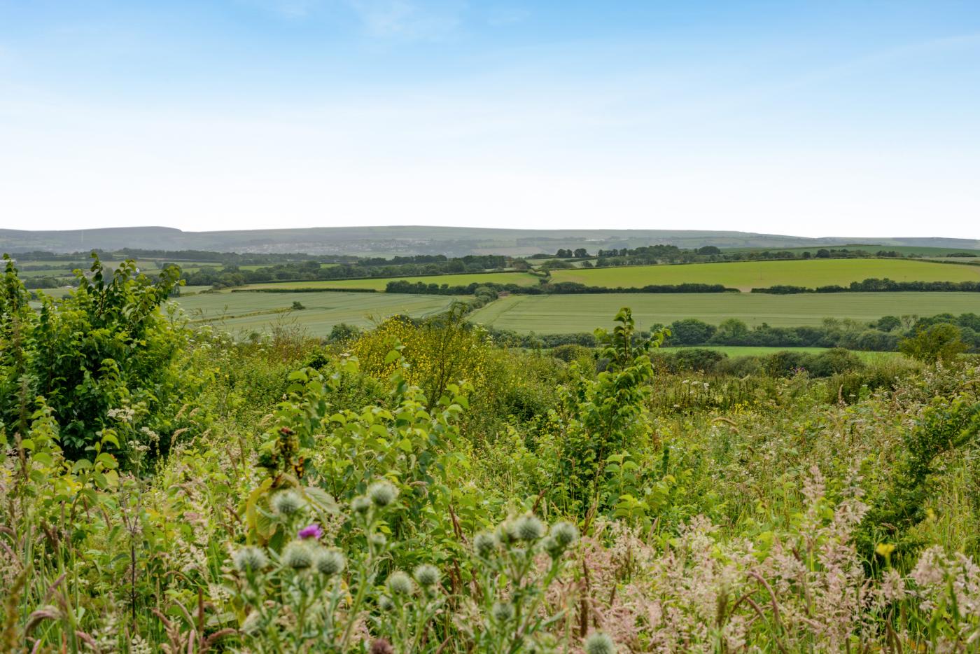 Property image 5 for HC292706
