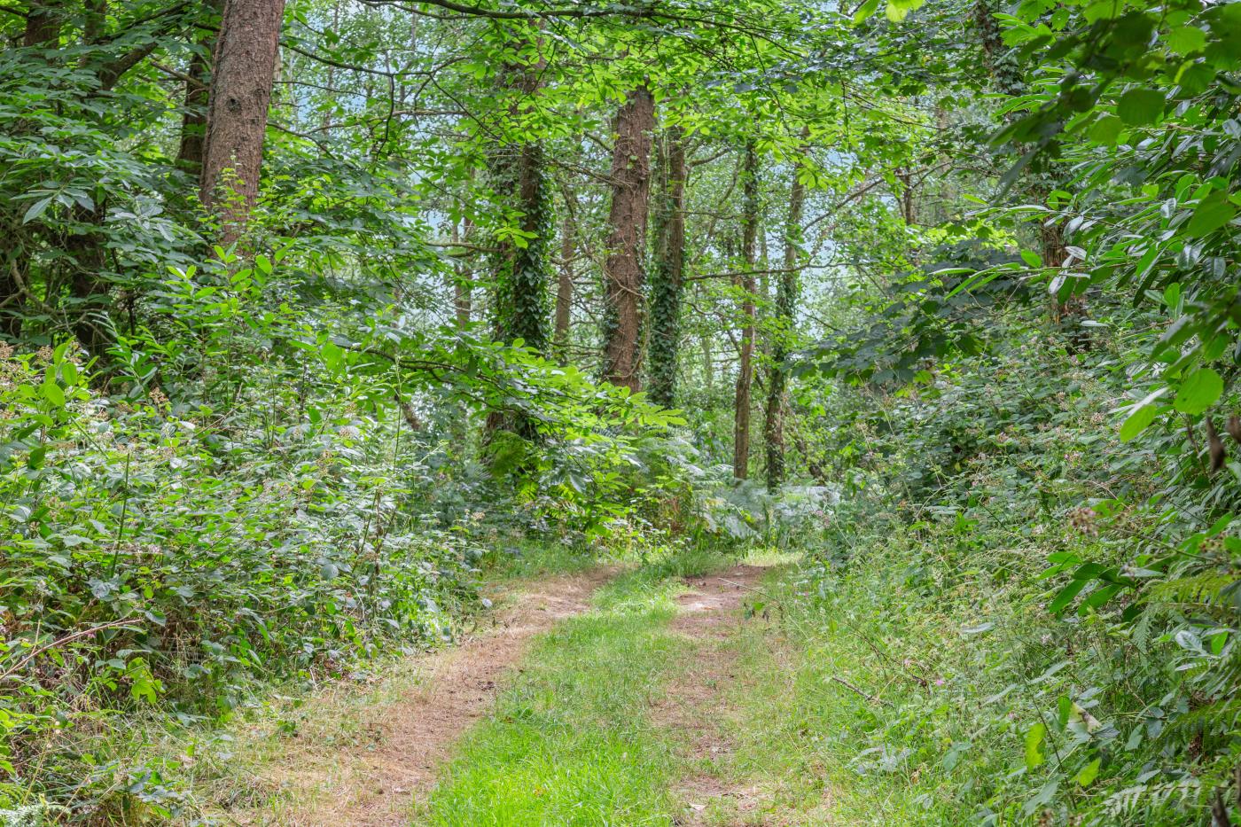 Property image 19 for HC294928