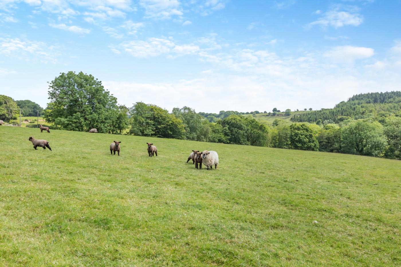 Property image 15 for HC279519