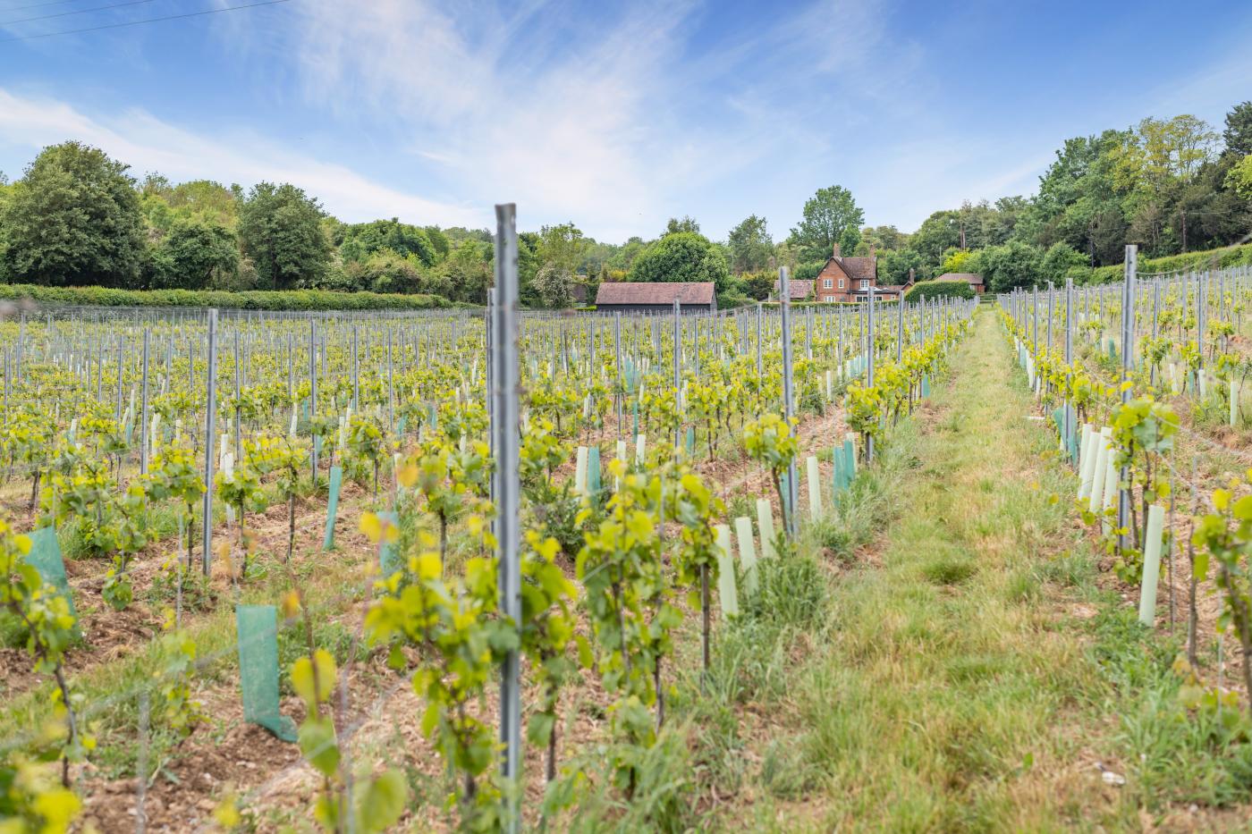 Property image 18 for HC282118