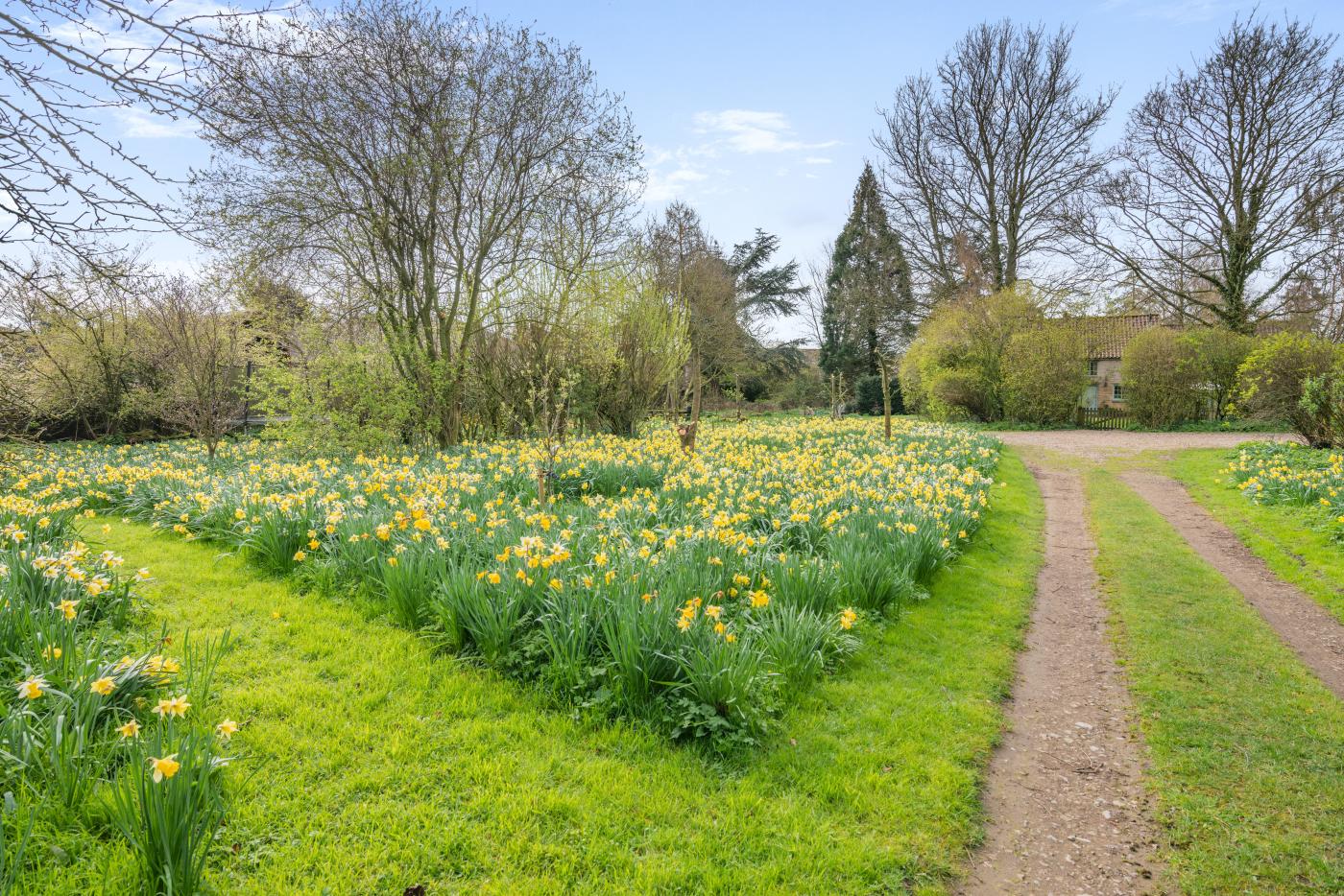 Property image 11 for HC273972